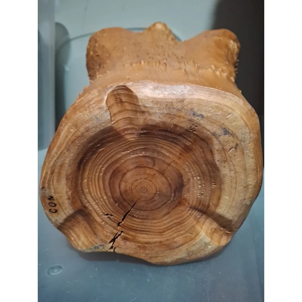 Hand Carved Burl Root Wood Vintage Large Basket 9